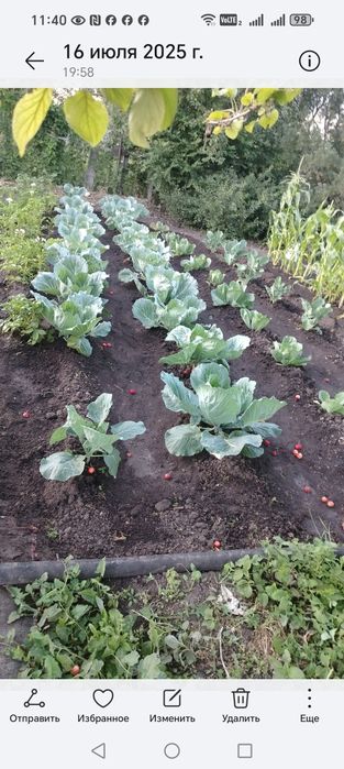 Продаётся дача  ПК "Черемушки"