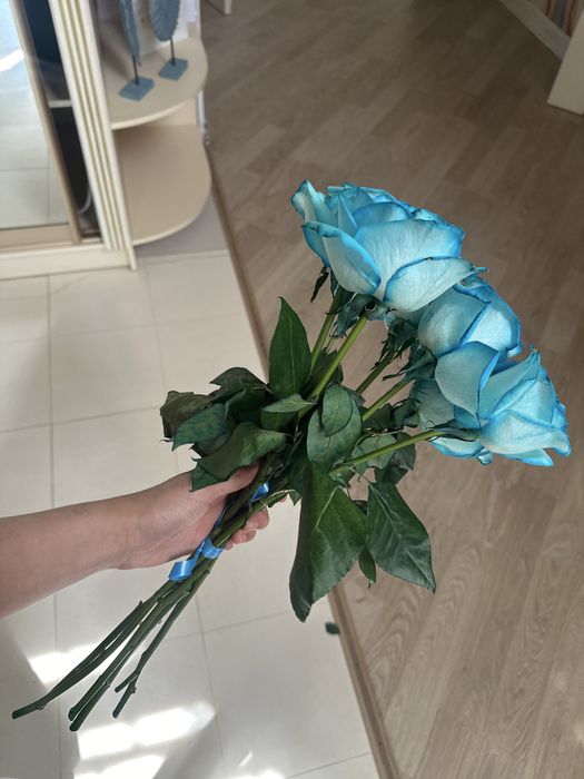 голубые розы, дешевые