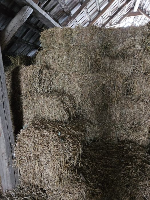 Vand baloti de lucerna