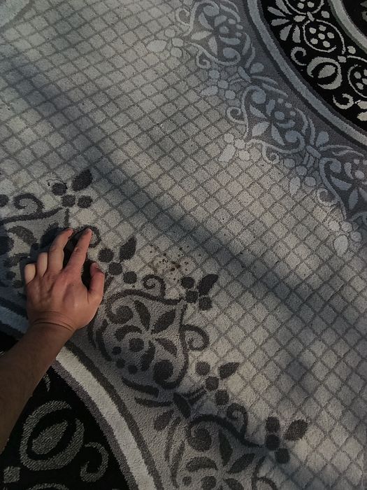 Продаю палас б/у. 2×4метра