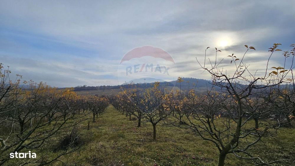 Teren extravilan 10,791mp Falticeni / Strada DJ209A, Opriseni