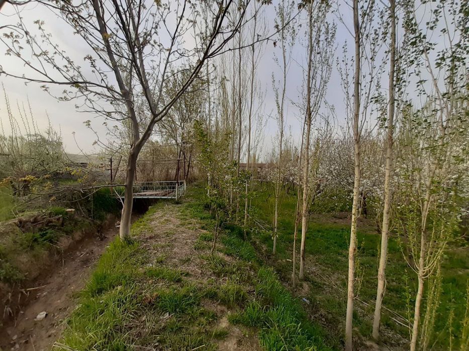 24 сотх учаска сотилади