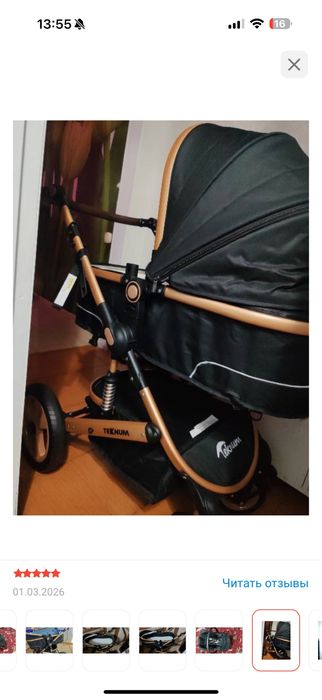 Коляска Текнум 5в 1