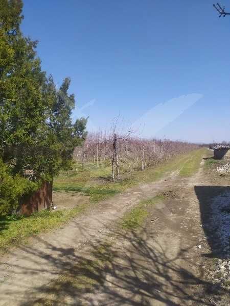 Продава се Парцел в с. Калековец, Област Пловдив - 9000 кв.м за 7 €/кв.м - Снимка #1