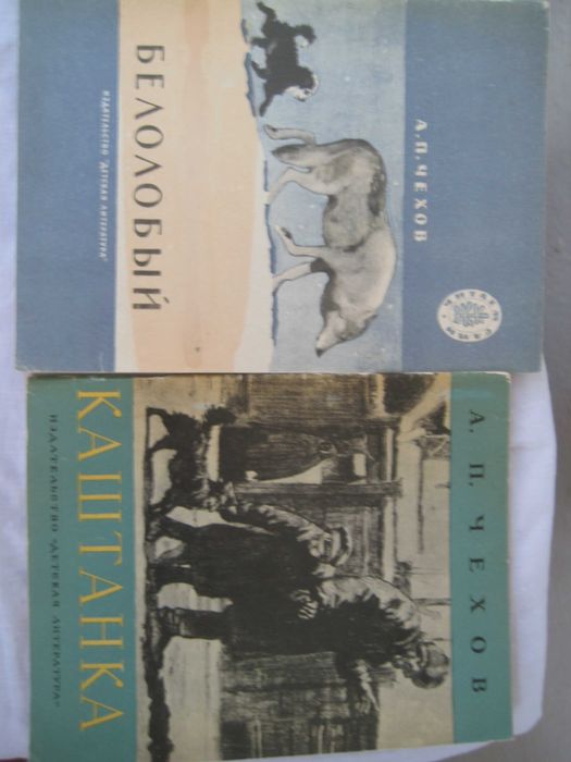 книги по школьной программе