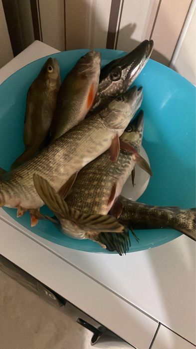 Продам ухоженную дачу с домиком