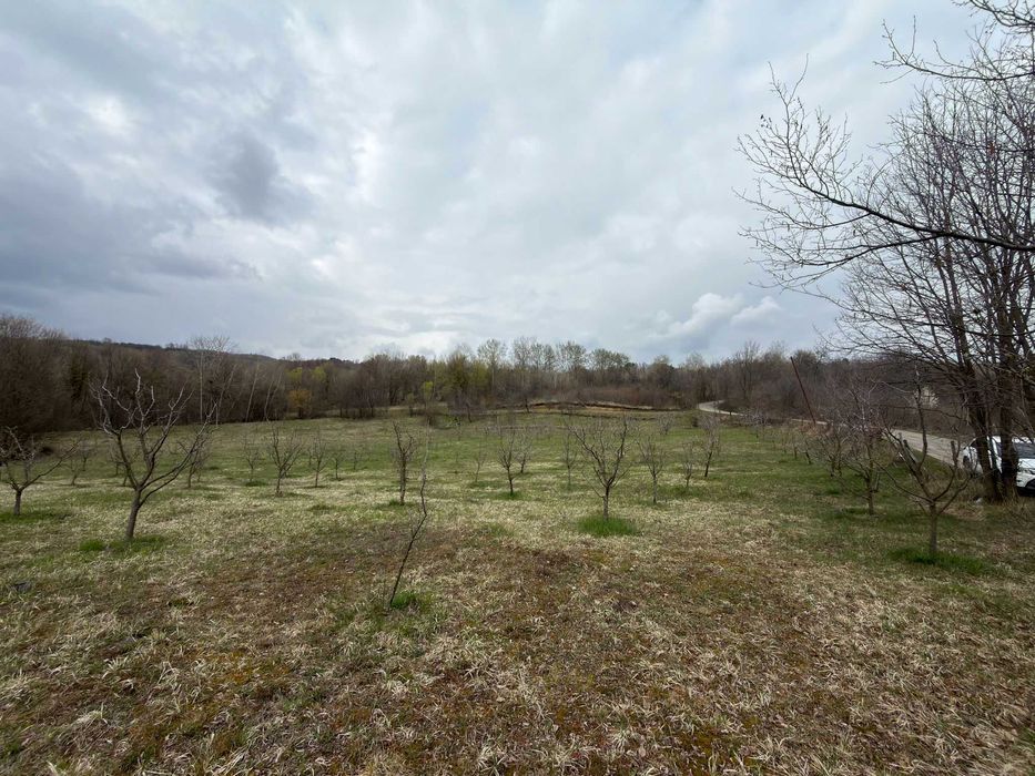 Teren / grădină de vânzare în Barbuletu, judetul Dambovita –  8055 mp