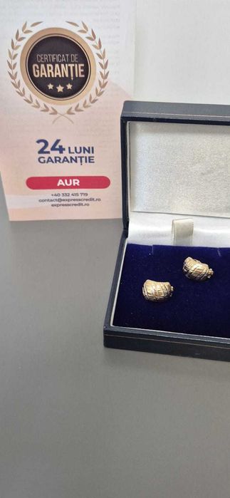 (AG46) Cercei aur 14K B.4610.10