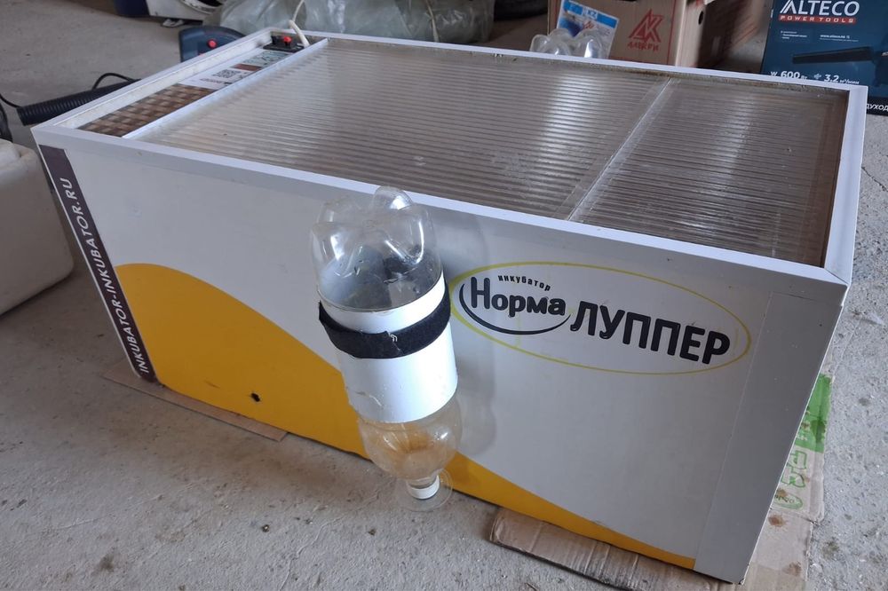 Инкубатор норма луппер 72