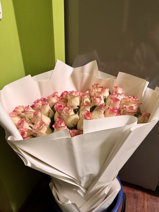 Голландская роза