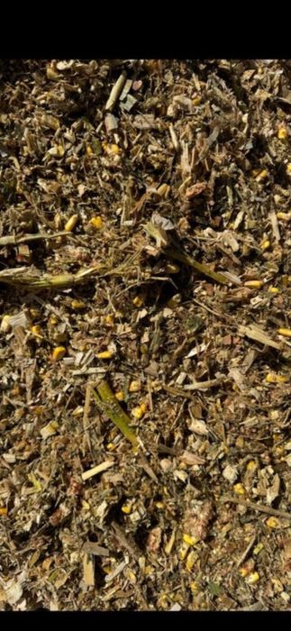 Продам силос корм