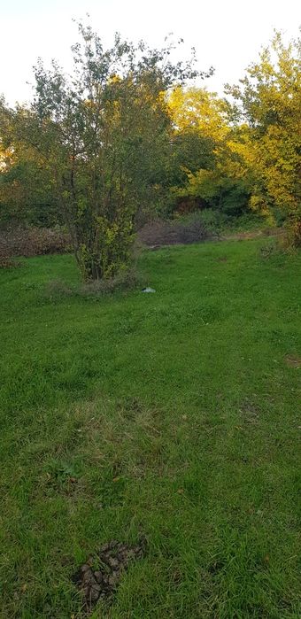 Продава се Парцел в Сапарева баня - 1088 кв.м за 104 €/кв.м - Снимка #3