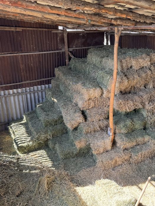 Жоңыршқа сатылады