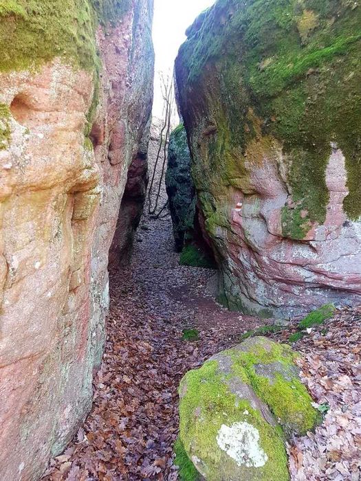 Продава се Къща в София, Банишора - 105 кв.м за 210 €/кв.м - Снимка #11