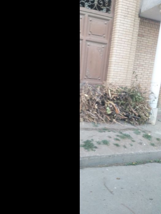 Utin bor 1 labo meva taxta