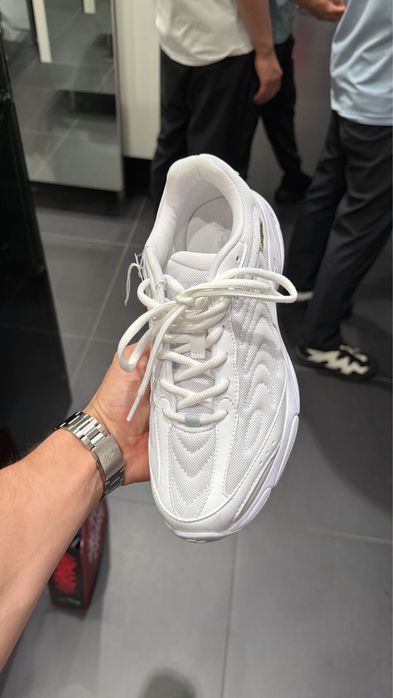 Женские Кроссовки Lacoste