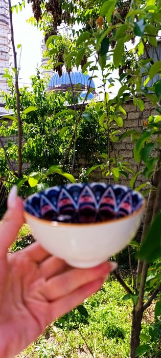 Кирпичный дом и участок