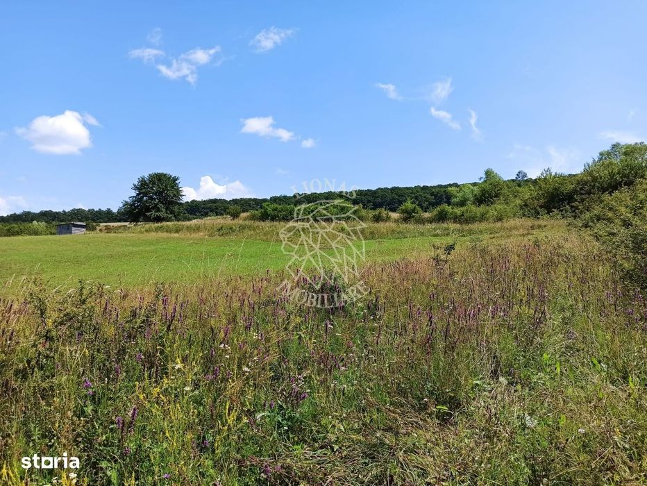 Parcele teren 4038 mp - Parcelabil - Zona Valea Stanelor