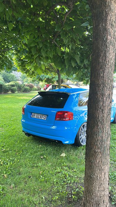 Vand /Schimb Audi A3 8P