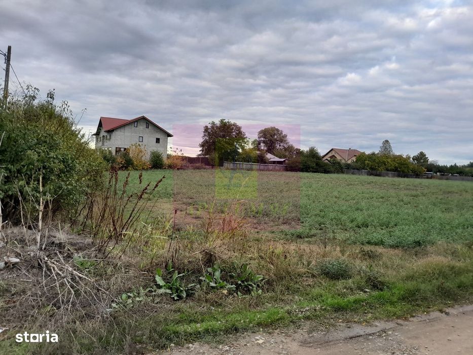 Cosereni (Il) - Se Vinde Teren 2000 Mp La Sos Bucuresti -Urziceni
