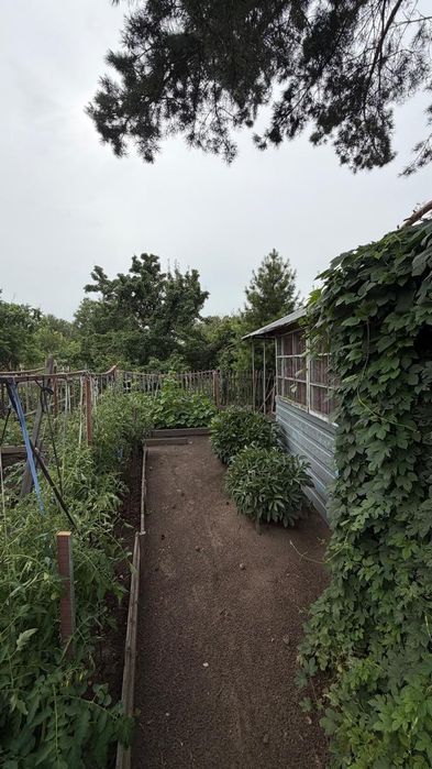 Продам дачу Горизонт ( не доезжая до Солнечного)
