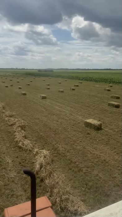 Baloți lucernă..