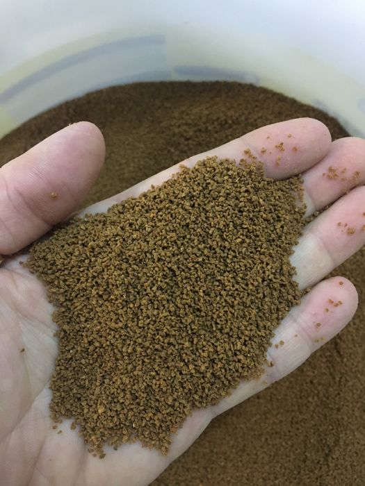 Hrana granular tetra