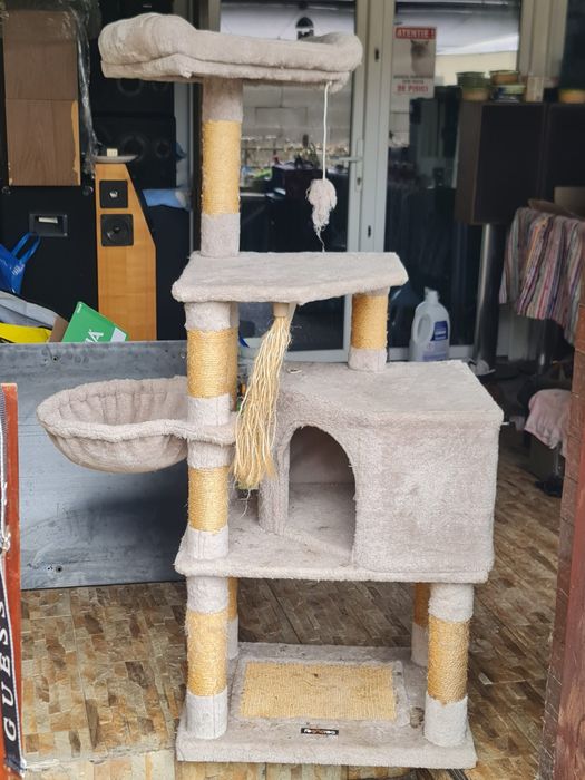 Ansamblu pentru pisici