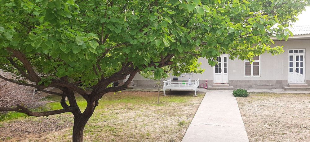 Yunusobod Tumani Xasanboy Zenit orqasi uchastka