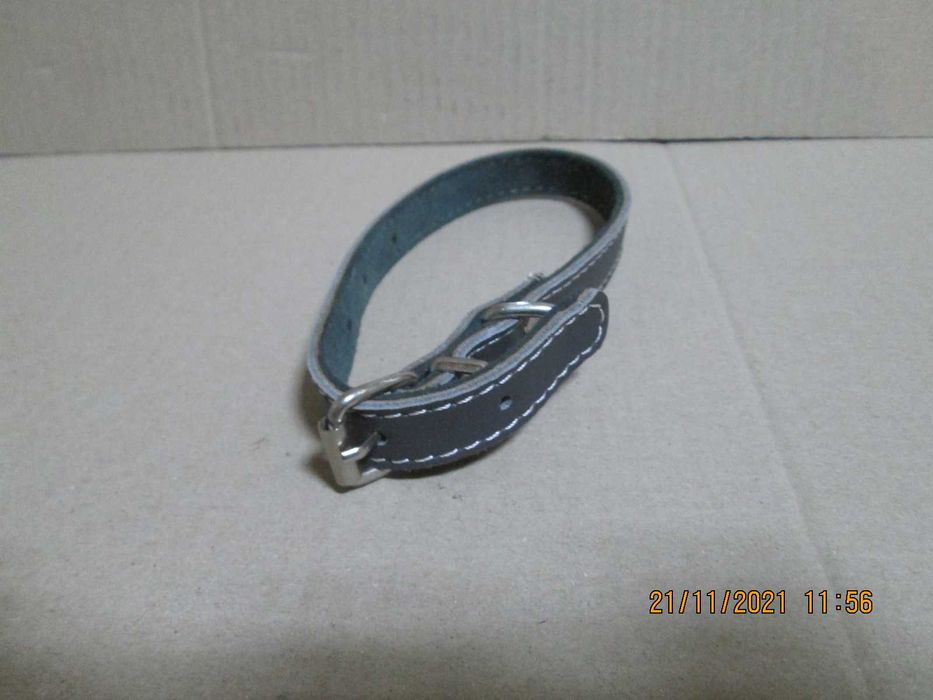 Accesorii pentru caini