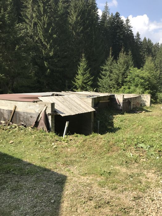 Teren de vanzare Sucevita