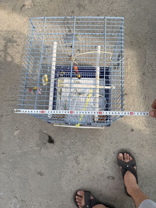 клетка для попугаев