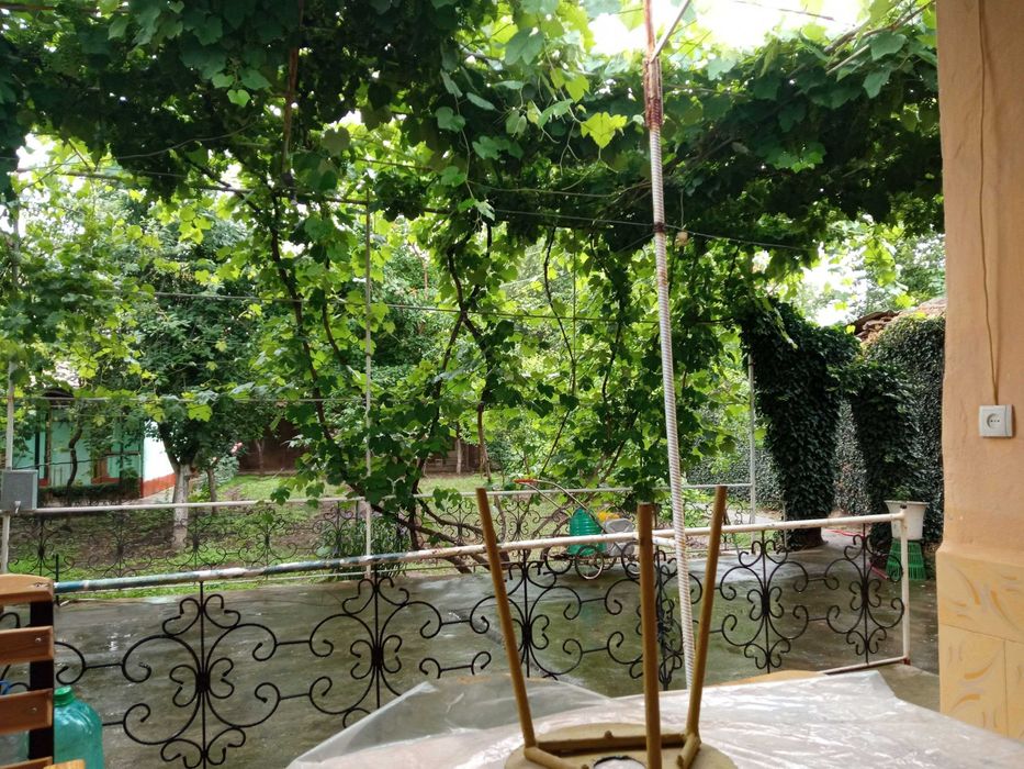 Двор, дом, ховли сотилади, срочно