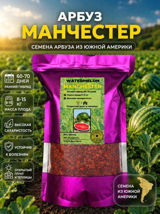 Семена Арбуза Манчестер F1 1кг 20000 семян