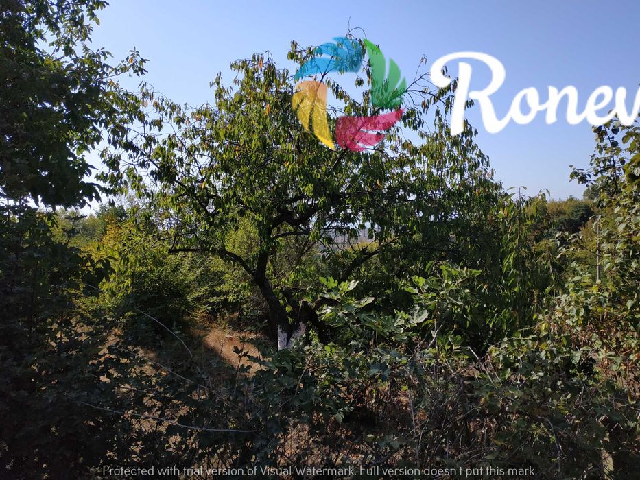 Продава се Парцел в Варна, Виница - 400 кв.м за 159 €/кв.м - Снимка #1