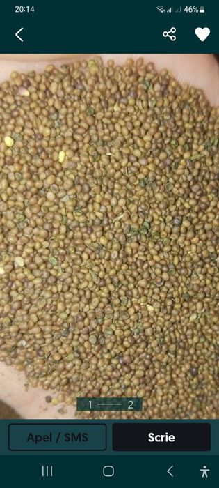 Semințe de lucernă, trifoi, ghizdei,trifoi roșu reîncărcat...