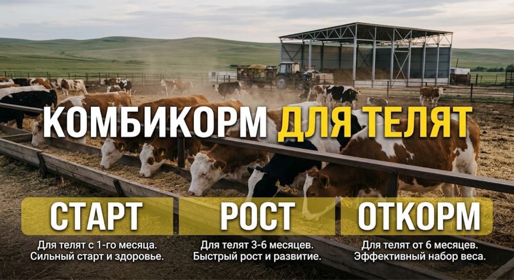 Комбикорм для телят