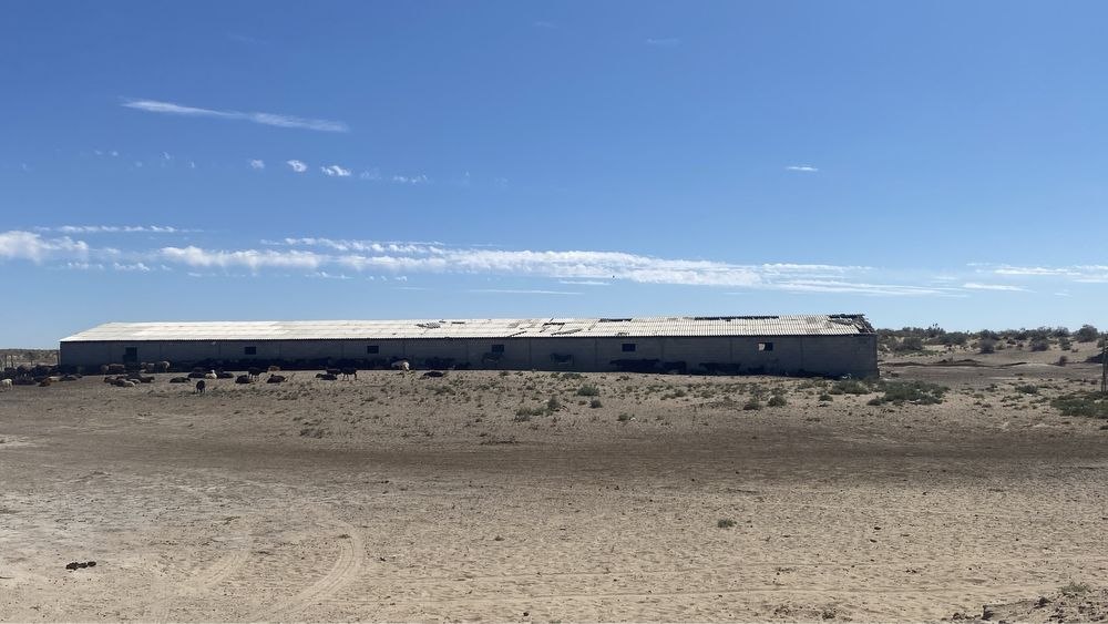 Фазенда сатылады СРОЧНО!!!