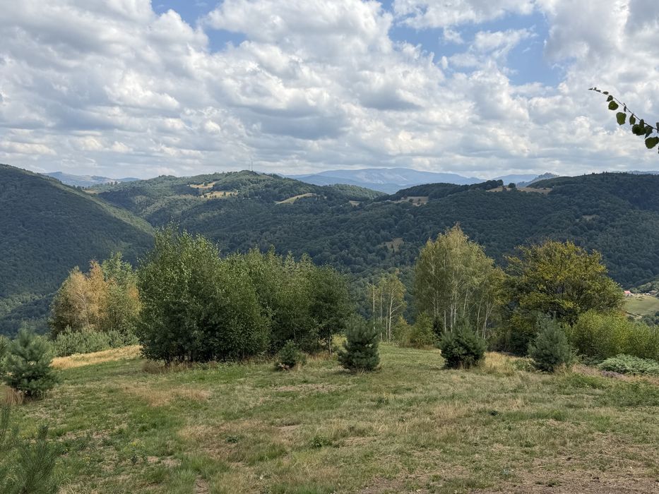 Teren în Damiș cu panoramă superbă spre Vlădeasa – altiudine 820 m, curent și apă la limită