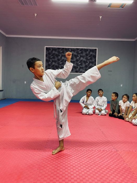 Даянг / Татами для единоборств