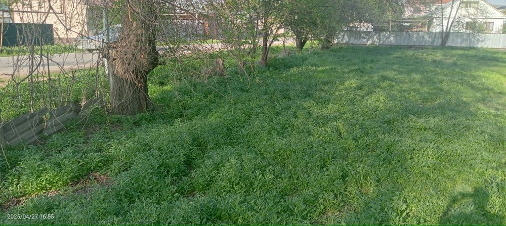 Участок Жанакурлусе