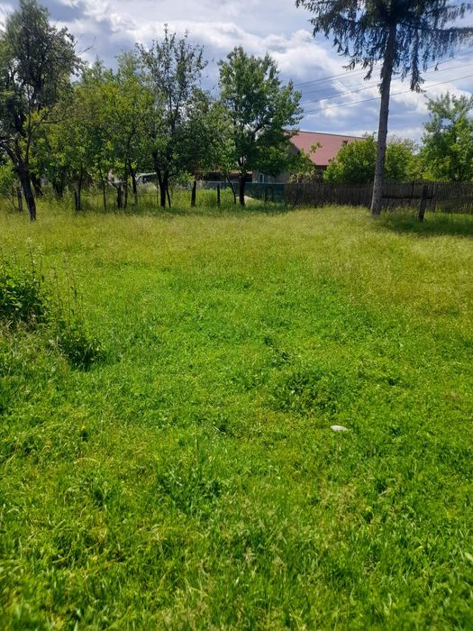 Casa Stâlpeni 1958 cu 940mp curte