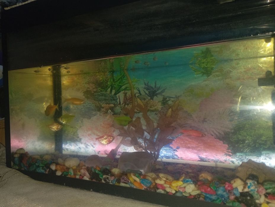 Продоёца Аквариум