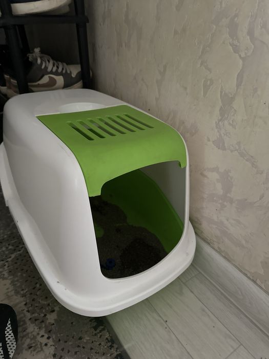 Отдадим кошку в хорошие руки