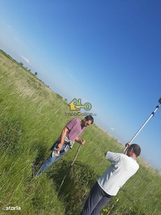 Teren Extravilan, Dealu Viilor, Lugoj