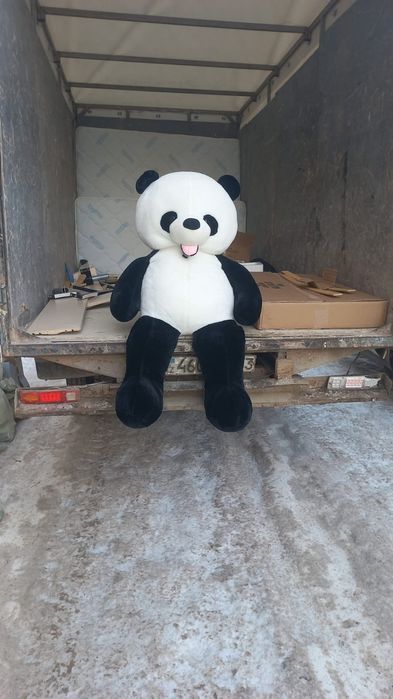 вызов мусора 24/7