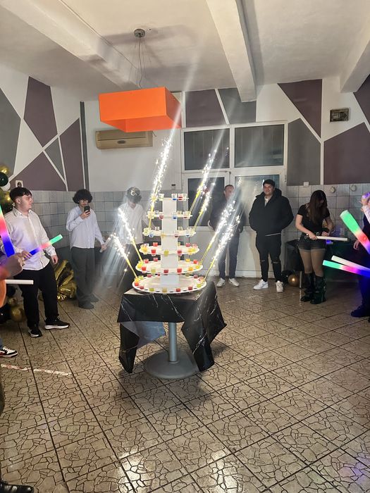 TORTUL MIRELUI/ tort de 145 shoturi