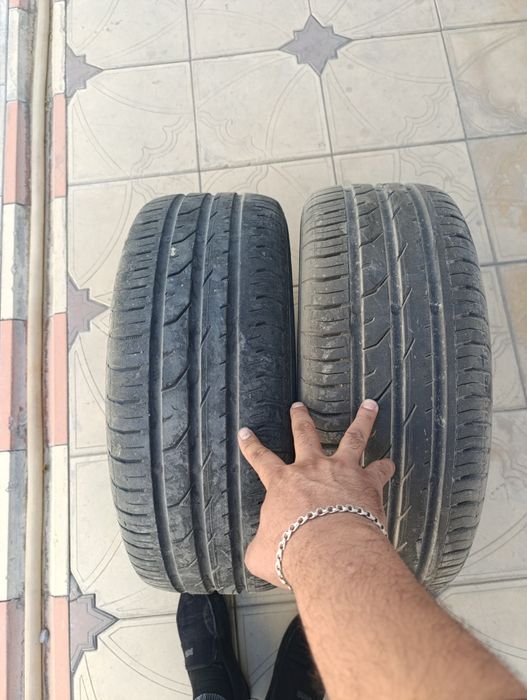 Рабочи балонлар бор нархлари хархел