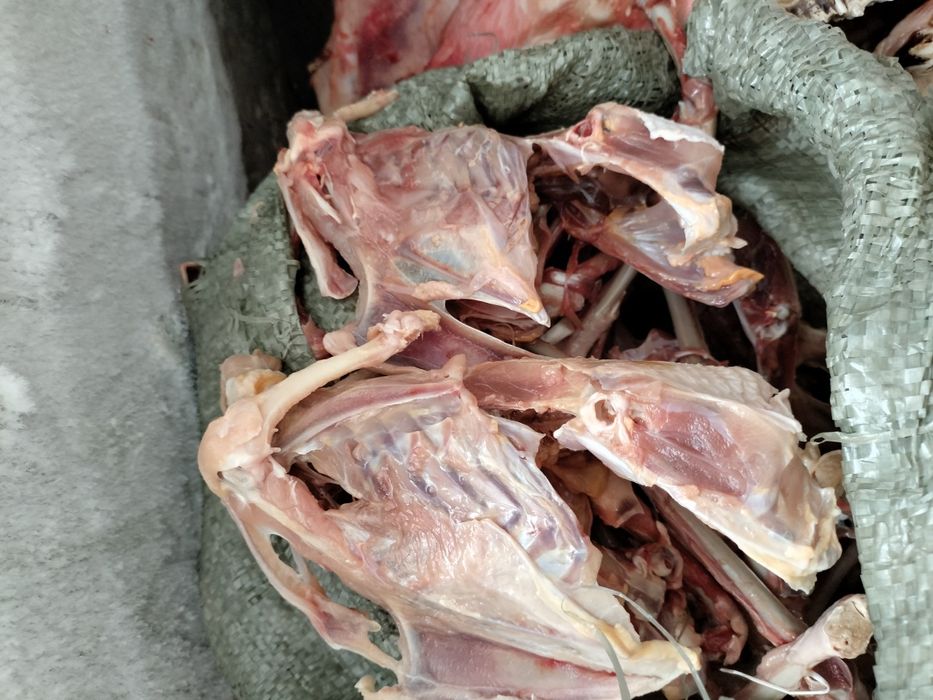 Продам корма для животных яйца