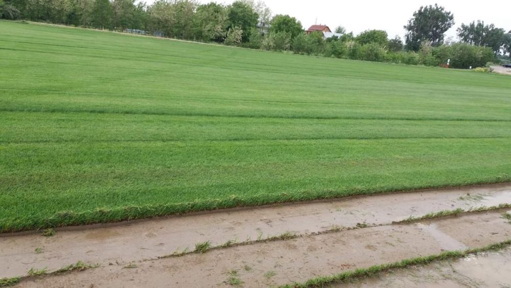 Producator   Rulouri   De   Gazon  /  irigati